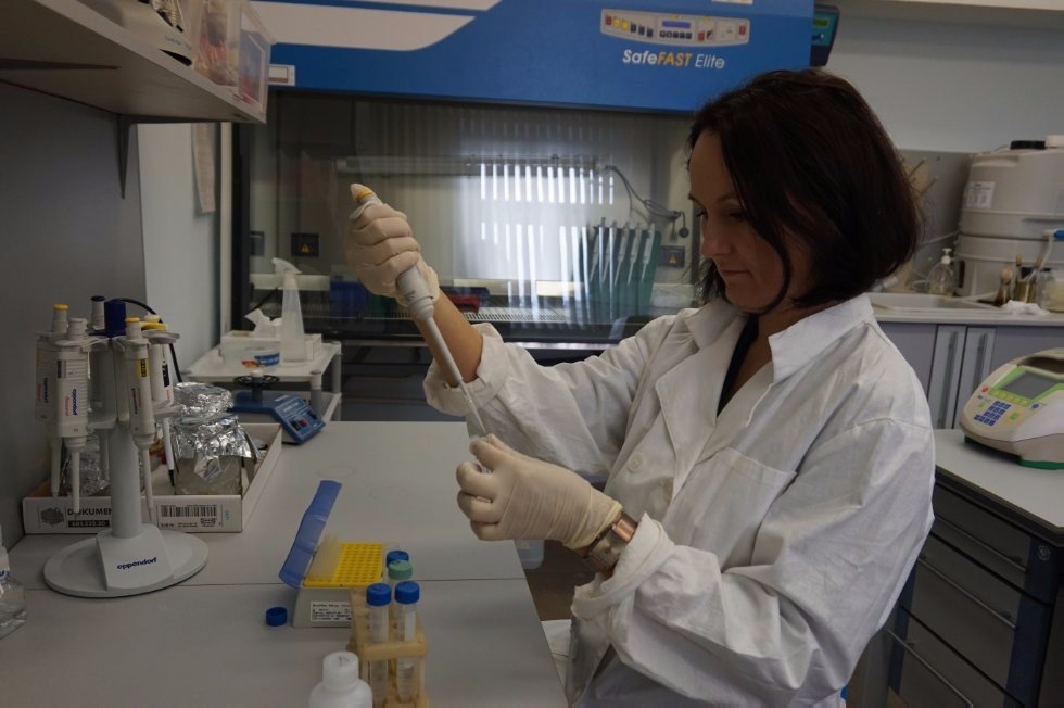 Eco-Friendly Replacement for Surfactants Researched at Kazan University