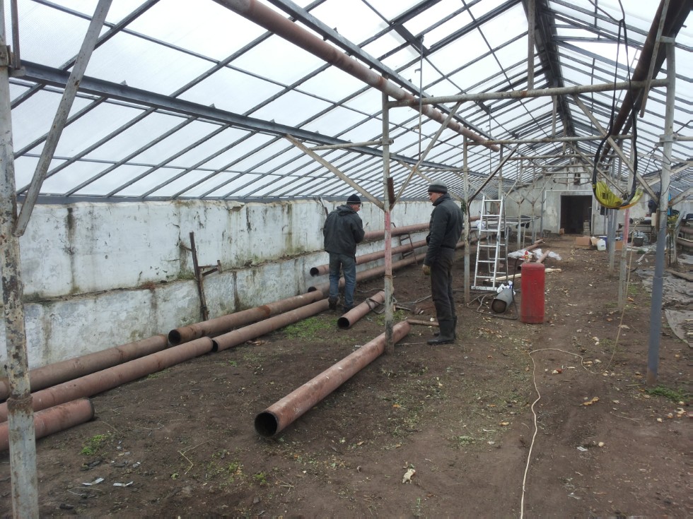 Ботанический сад К(П)ФУ Ботанический сад К(П)ФУ