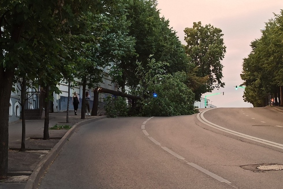 'Созвучие сердец' 'Созвучие сердец'