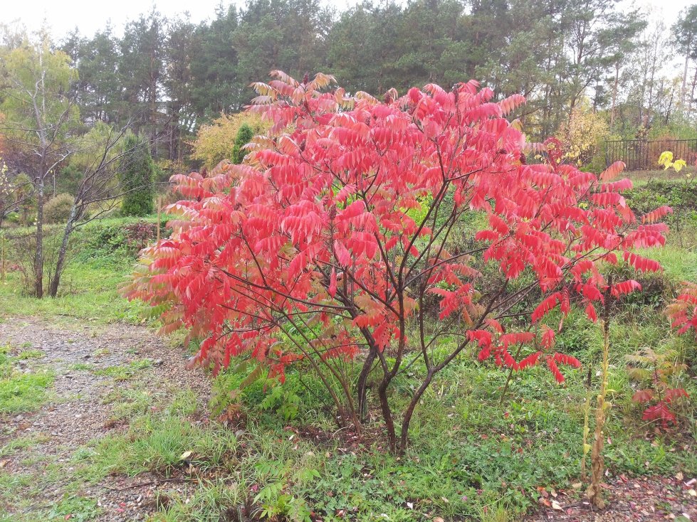 ������������ ���