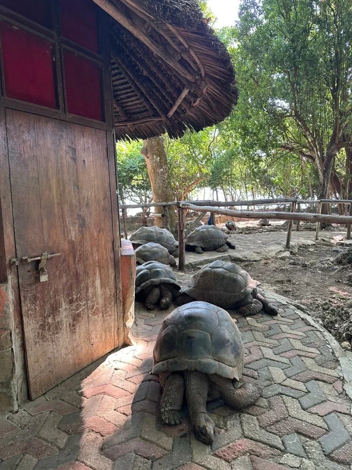 ��������� ����������� ��� ��������� �������� �������� ������ ������ �������� ���������� � �������� ,�������� ����������, ������������� ������������� �����������, ������������� ��������������