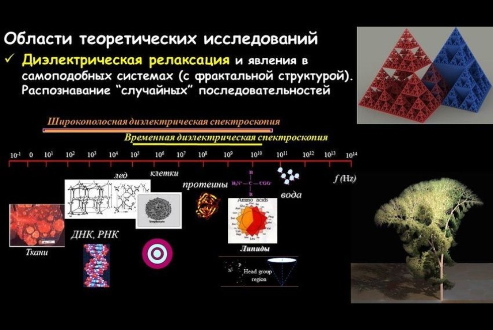Научно-исследовательская работа Научно-исследовательская работа