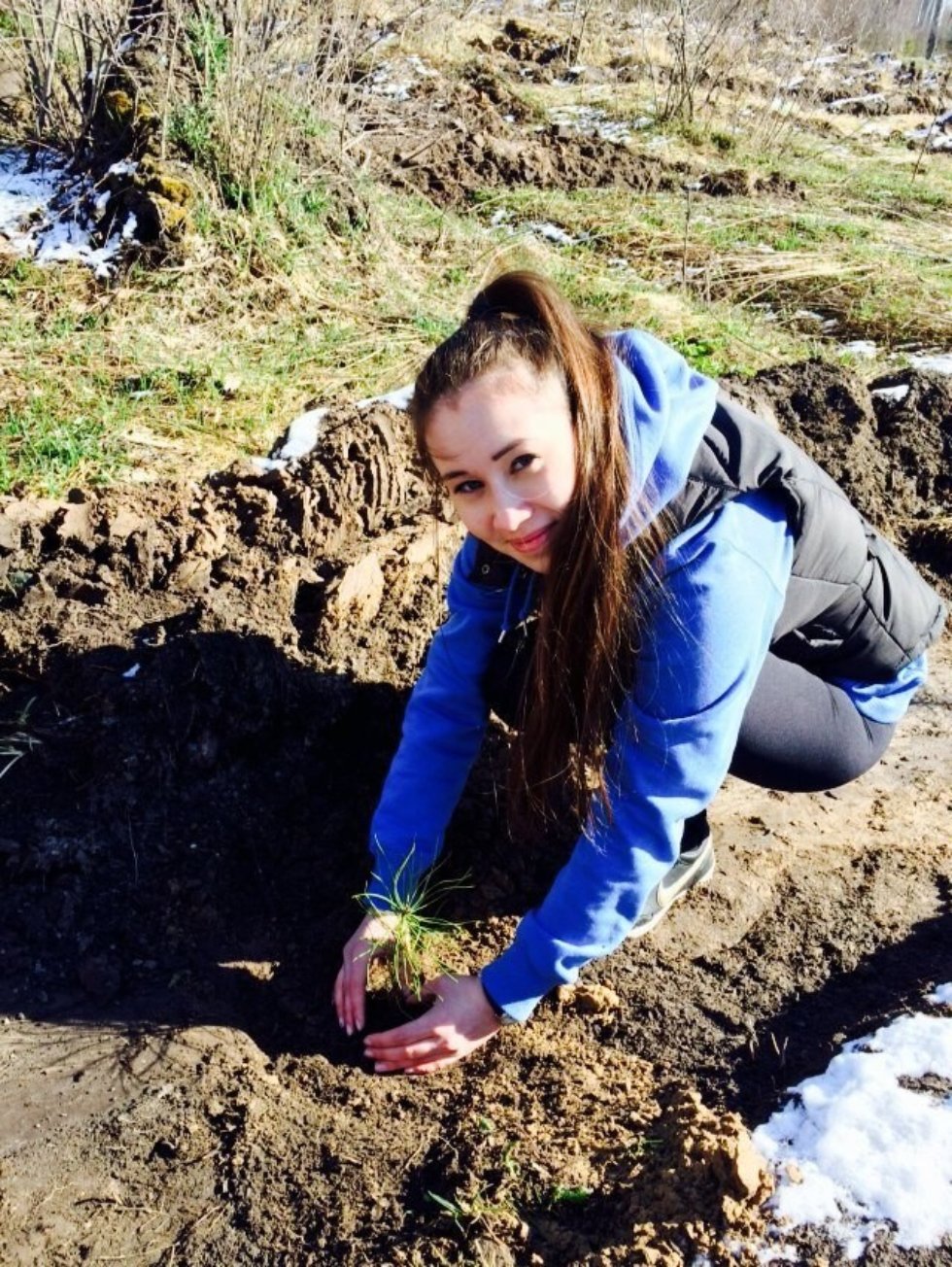 Social Committee of the Law Faculty Social Committee of the Law Faculty