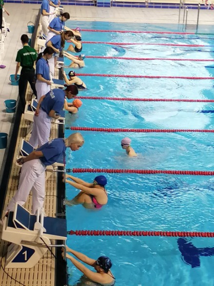 ������ ���� ����������� ���������