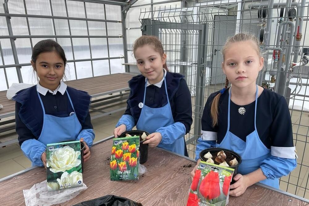 ��������� ������ 