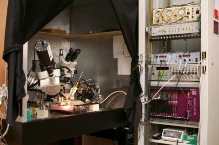 ������ '������ ���������� � ������������� �����'