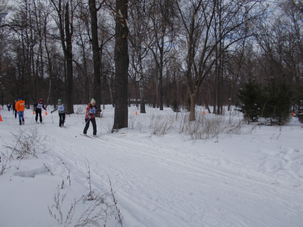 ����������� '��������'