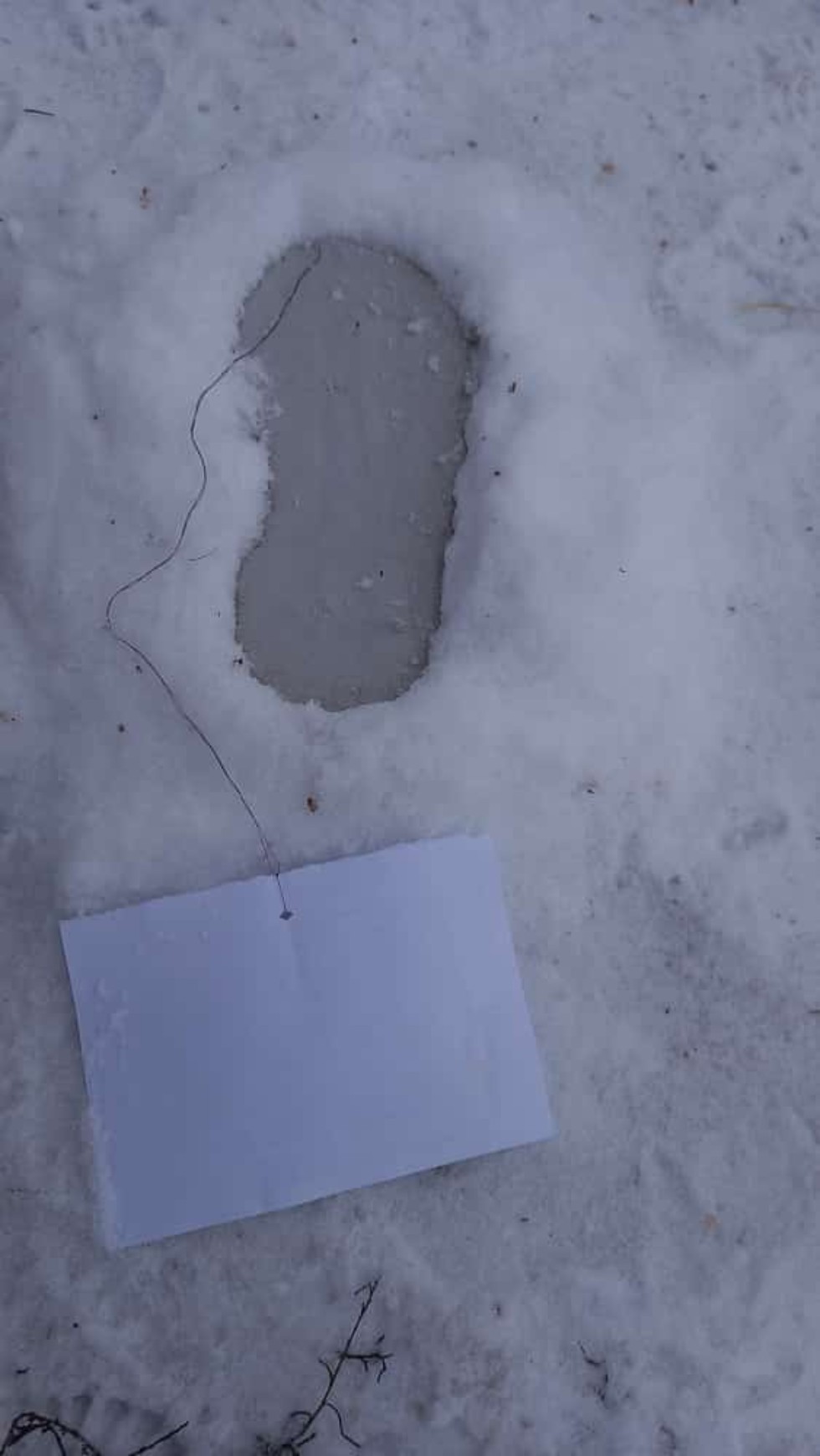 ������ ����� ������������