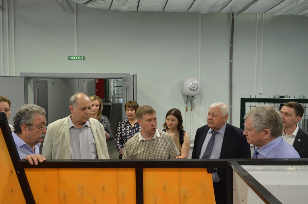 ������������� �������� �������������� ��������������-����������������� �������� �������� ���������� �������� � ��������� ������������ ������ ���