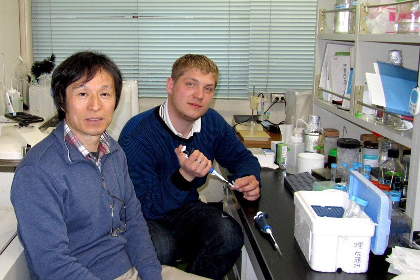 �������� ��������� ��������������� �������� � �������� ��� ������� ����� ������� ����� 'Monbukagakusho: Mext' ������������� ������