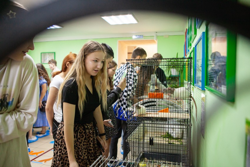 ��������� '��������������� �����' ������������� � �������� ������ � �������� ���������� �������� ���