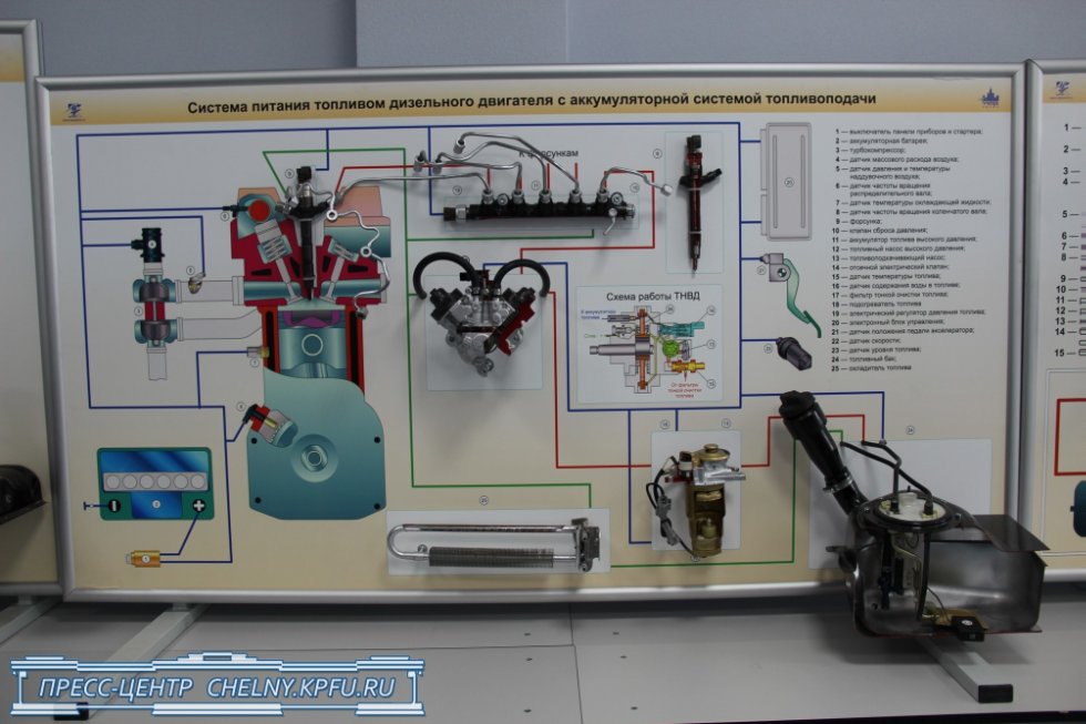 ������� ���������