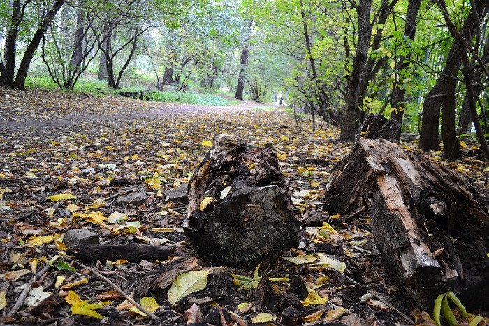ТОП аномальных мест Казани ТОП аномальных мест Казани
