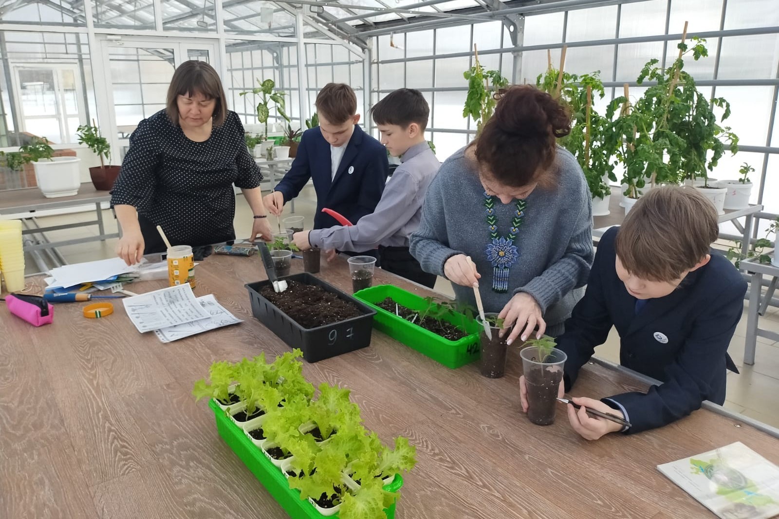 ������-����� �� ��������� ������� ������� ������� ����������� 6 '�' ������ ��� ����� ���������