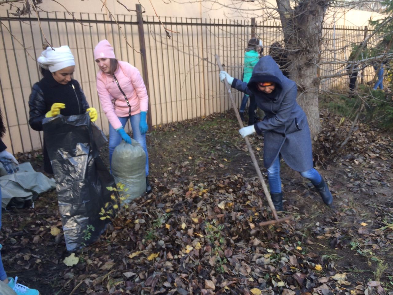 Ө�ә�ә �������� ү�� ��������