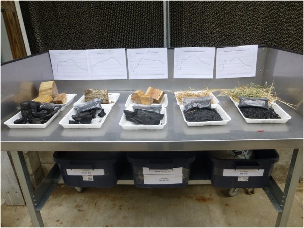 Prospects for Organising International Centre for Bio-Char Study and Production Are Discussed in KFU