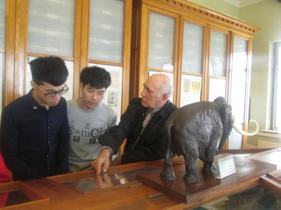 ����������� �������� �������� ����� ���