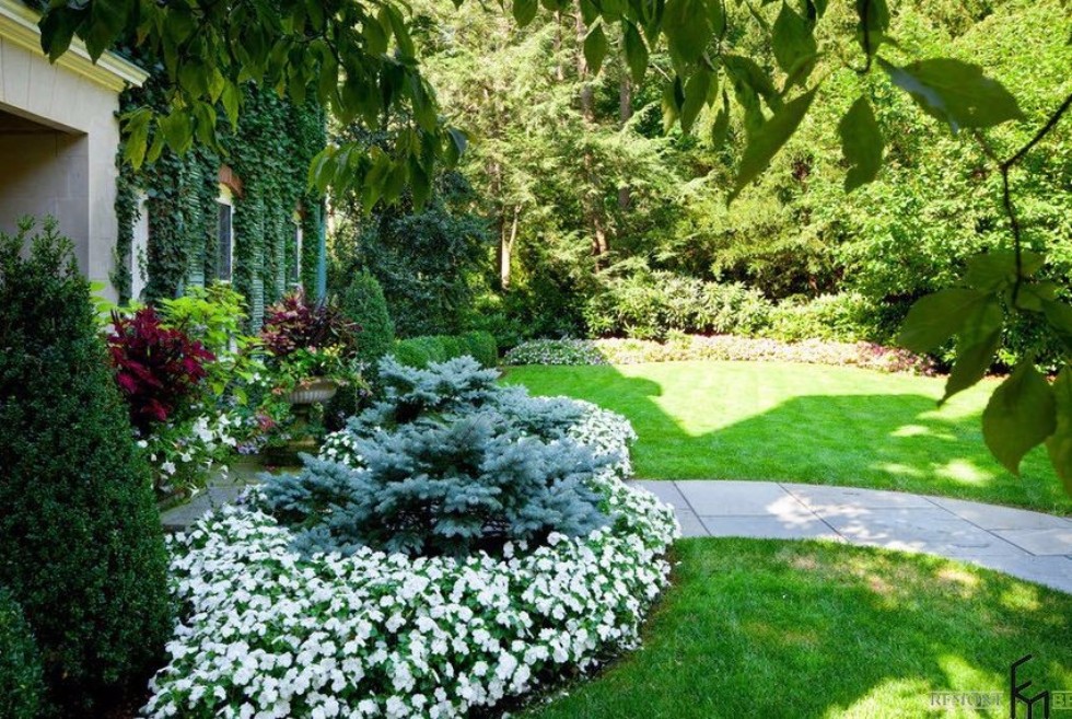 �����������