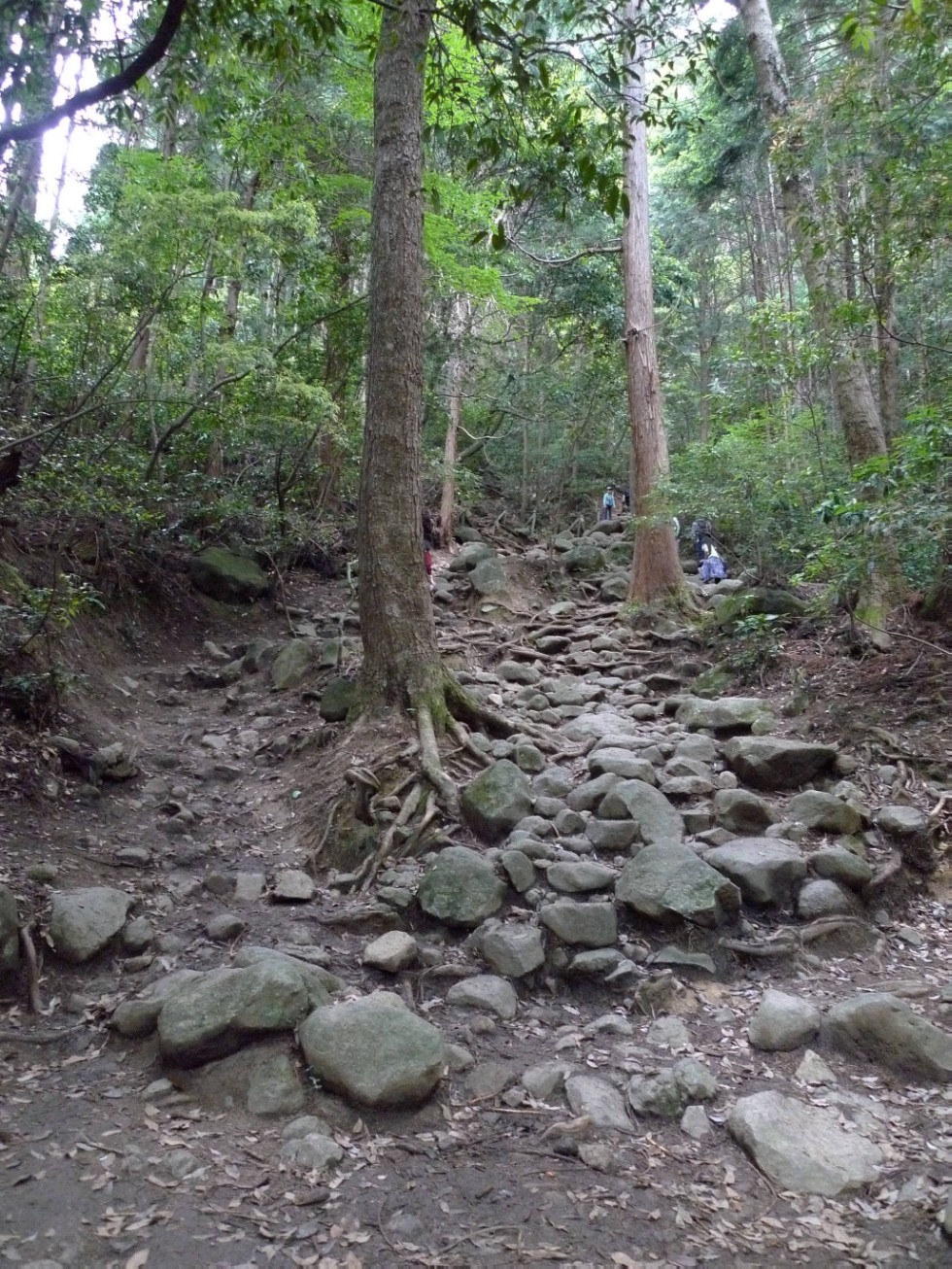 ���������� �.�.�. ��������� �.�. � ��������� ����������������� ����, ������������ ����������������� ����������� ��������� ��������� � ������� ���������, ��������� �������������, �.������, ������