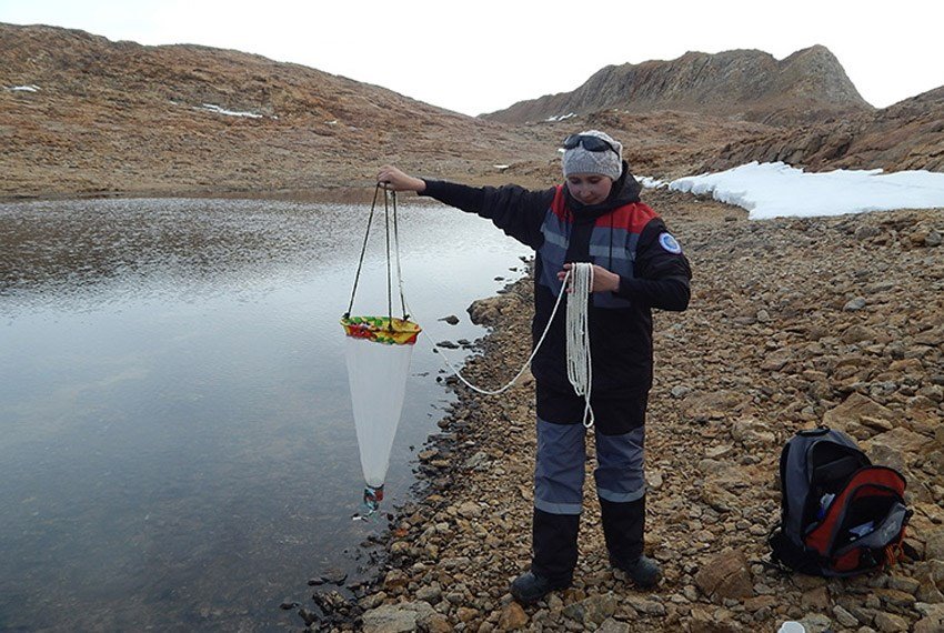 ����� ������ ������ ��� � ����������