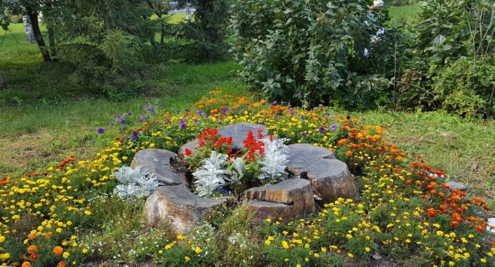 ������������� ����������� '����������� ��������� � �� ����������' - 2019