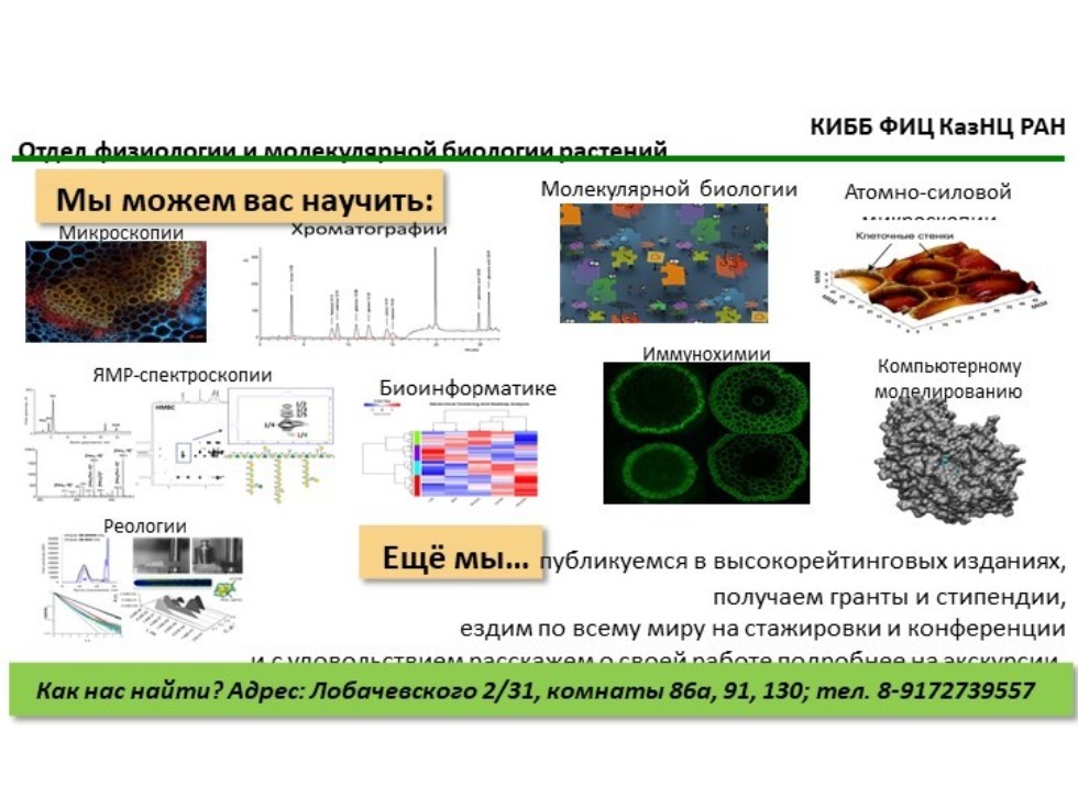 ������� �������