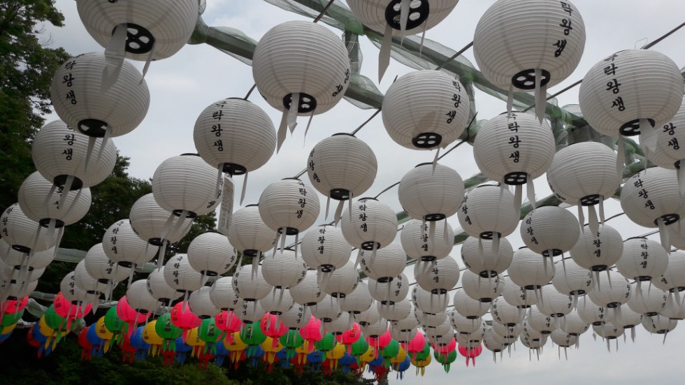 ����� ���������� ���������� �� 11� ������ �� ��������� 