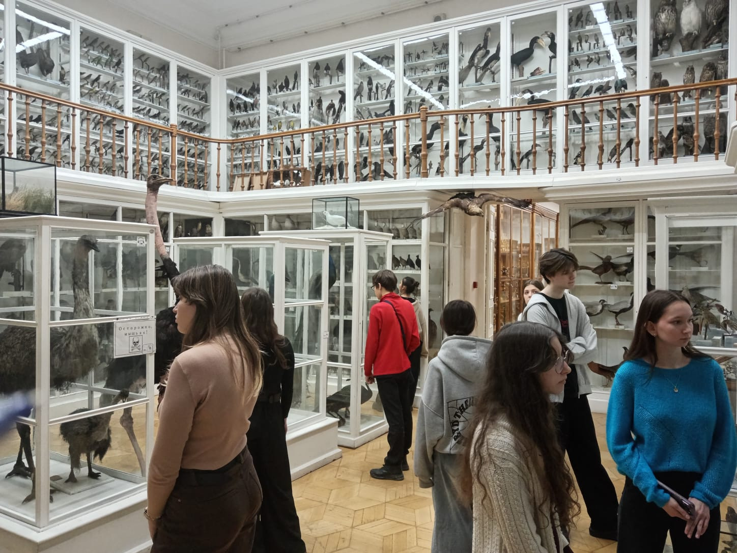 ��������: ������� � 100 ������