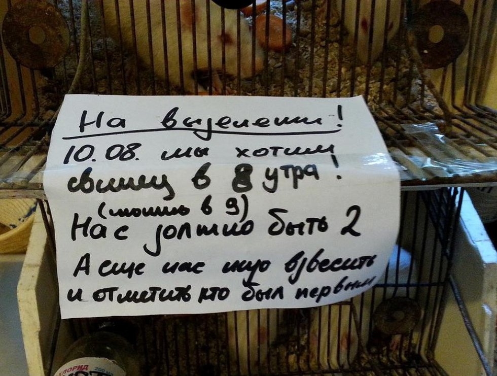 Научные исследования Научные исследования