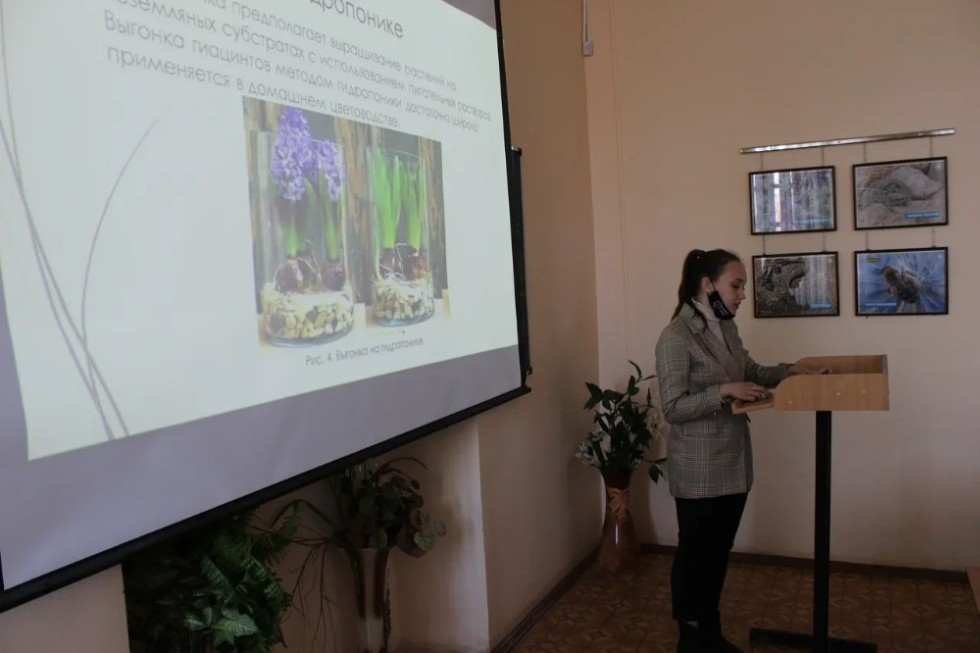 �� ������� �������� � ����� ���������� ������������ �����������