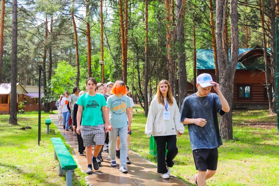 IT-����������