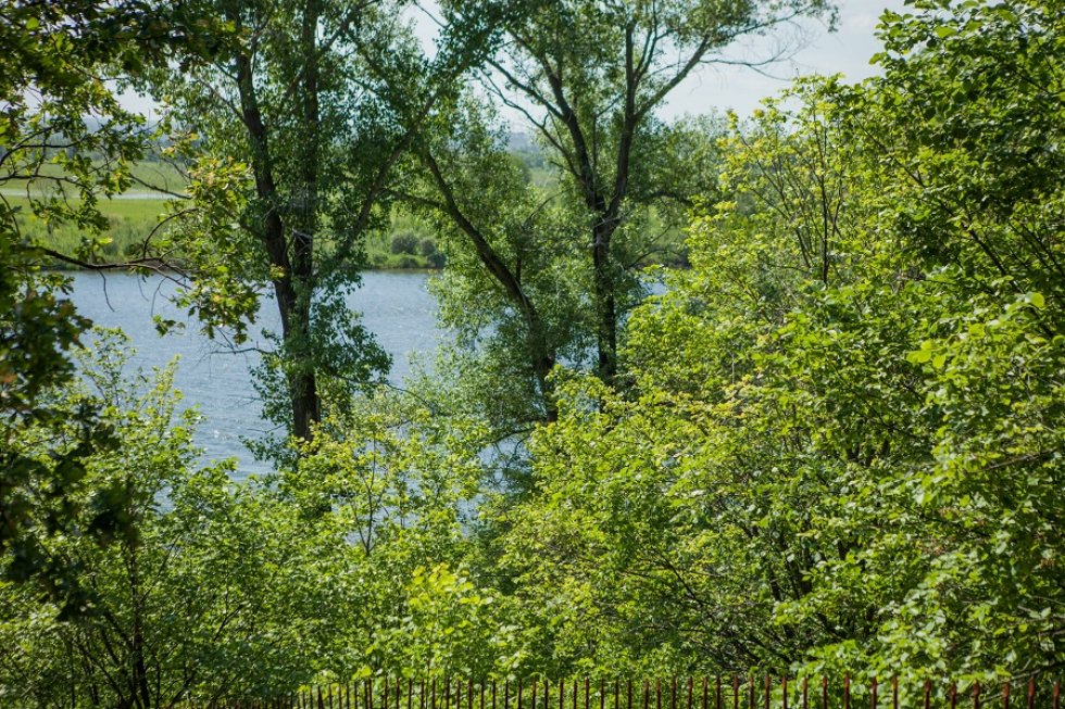 ���������-��������������� ������ '�����������'