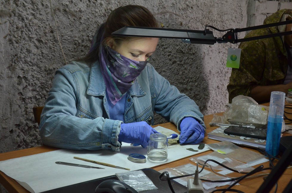 ��������� '�����������': ���� �������������� ������������