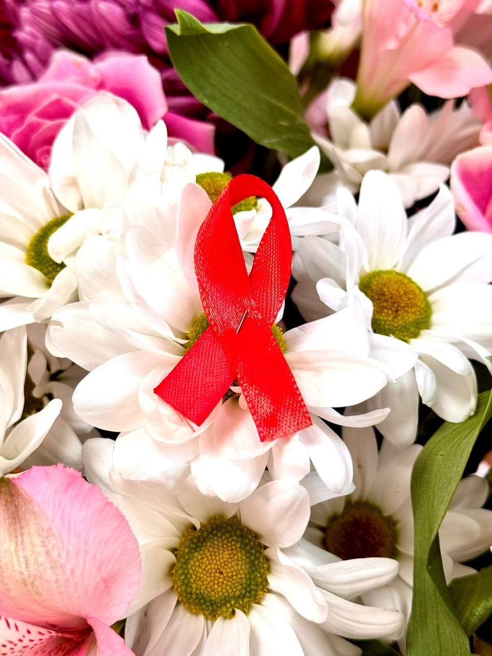 ����� ������� �������� � �����