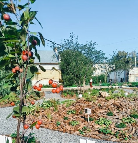 Сад Отражений Сад Отражений