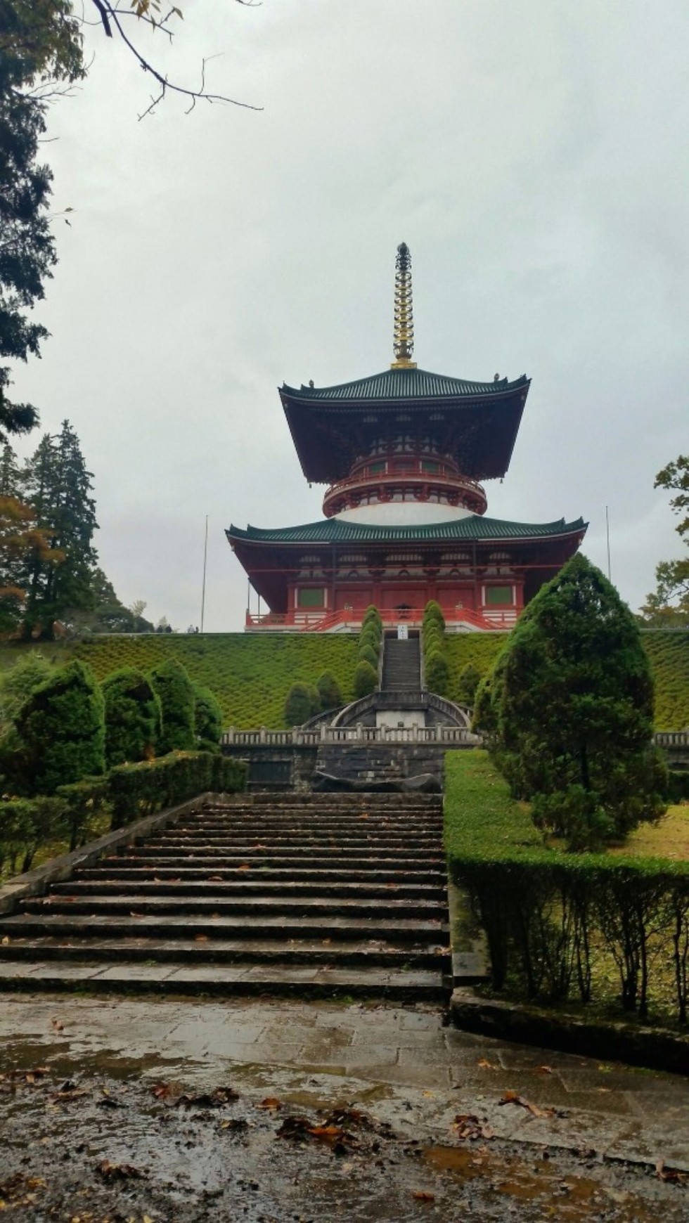 �������� ��� ��� ������� ������� � ��������� �����-���������� ���������� �������