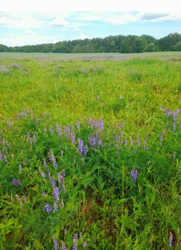 ����� - �������. ������� � ���������...