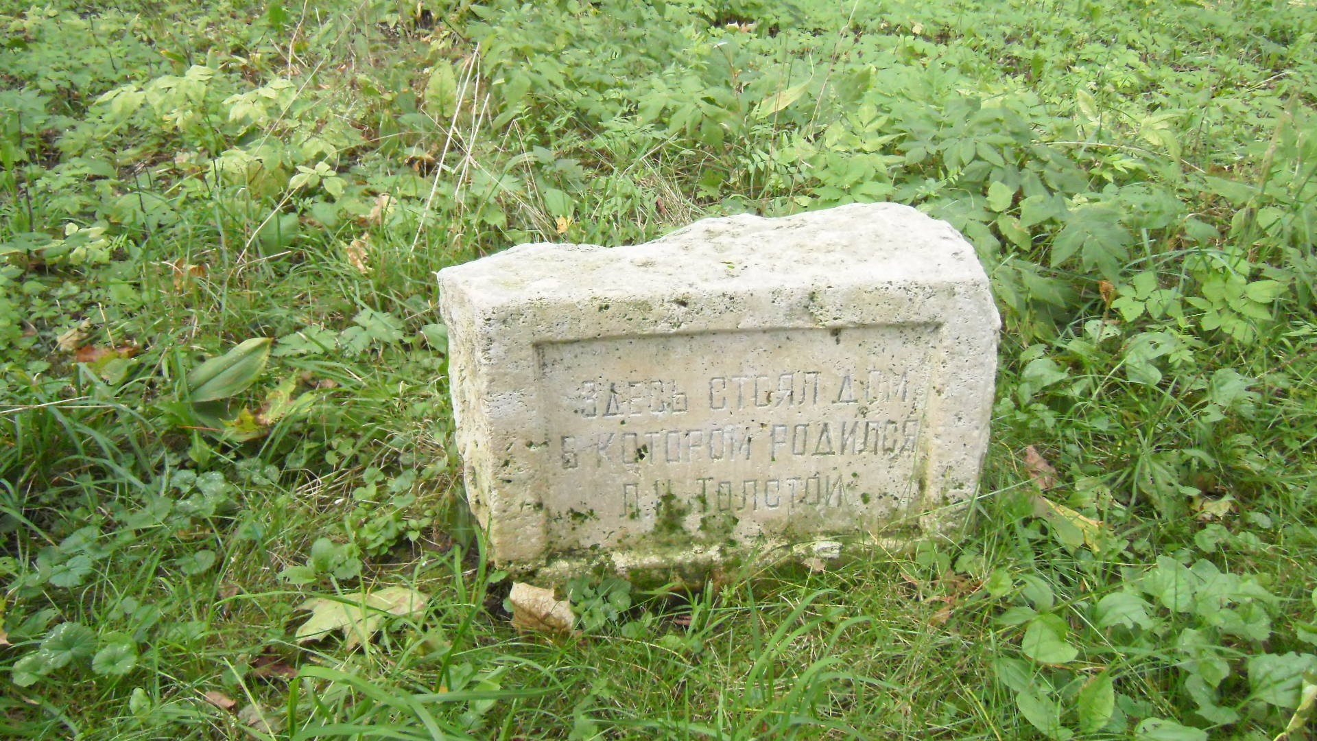 ��� �� �������� �������� ���� ��������