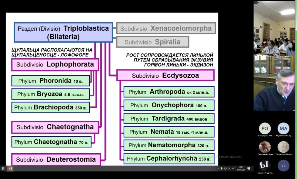 ���� �������� ������
