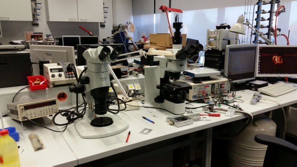 Новые фазы сотрудничества КФУ и Университета Ростока Новые фазы сотрудничества КФУ и Университета Ростока