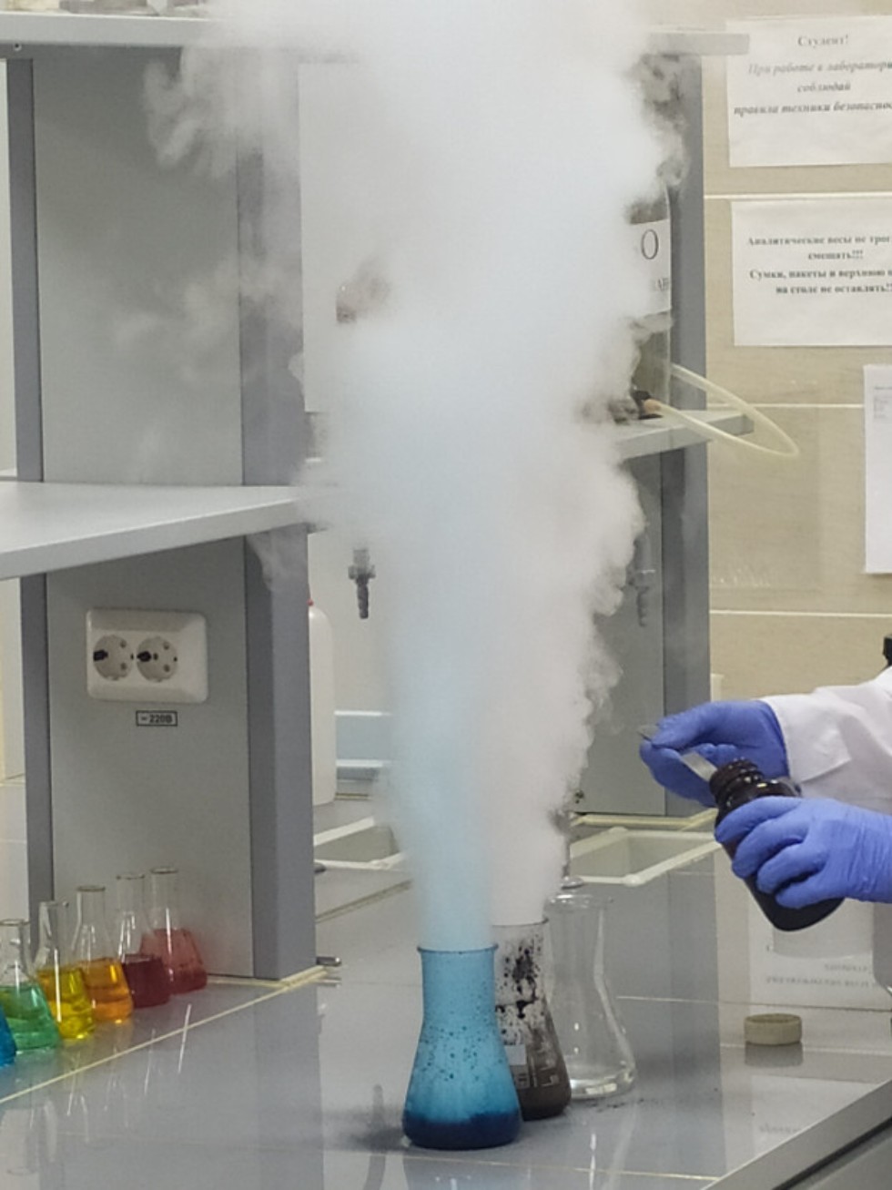 �������� ������� ����������� ����������� ������� ������� � ������� 'PRO����� � ���: ���� �������'