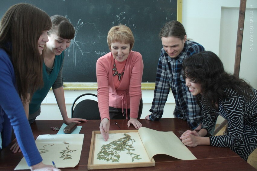 �����������