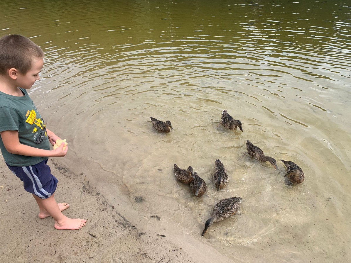 'Дни здоровья' в Яльчике 'Дни здоровья' в Яльчике