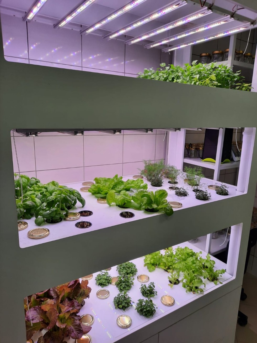 �������� ����������� ������������� �������� � ��������������� ������ ��������� � ��������� ��������� ����� � �������� �� �� ������ ���������������� ������ '������'