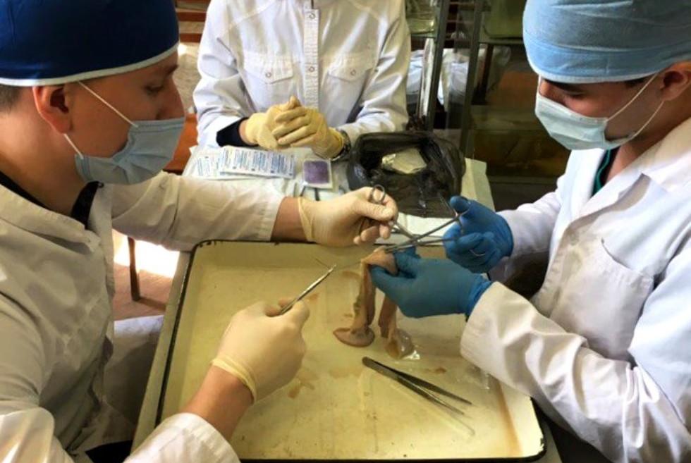 Учащиеся КФУ стали победителями VII Республиканской студенческой олимпиады по хирургии Учащиеся КФУ стали победителями VII Республиканской студенческой олимпиады по хирургии