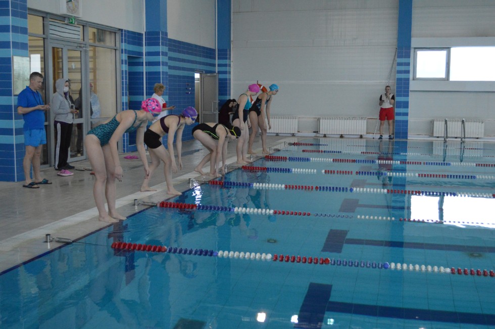 � �������� ���� - �������� ���