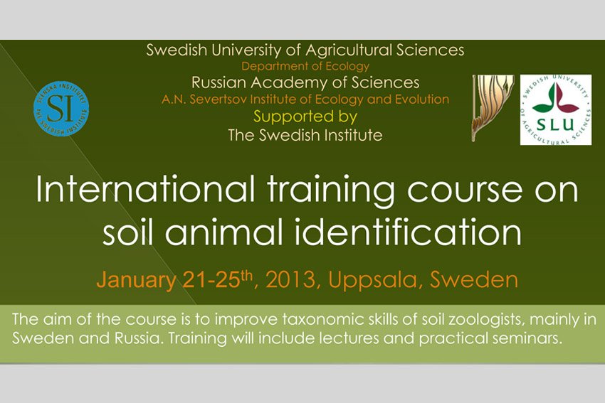 ������������� ����� �� ����������� ��������� �������� (�������, ������)