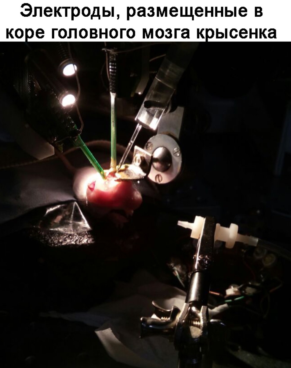 Научные исследования Научные исследования