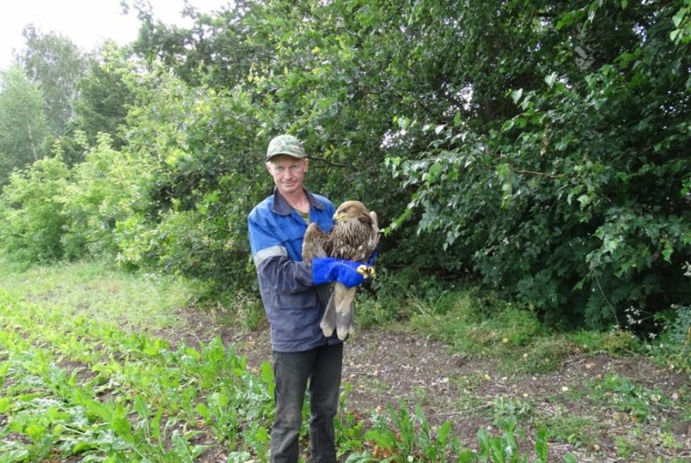 ������ ����������� ��������� ��� ��������� �������� �� ���������� �� ���������