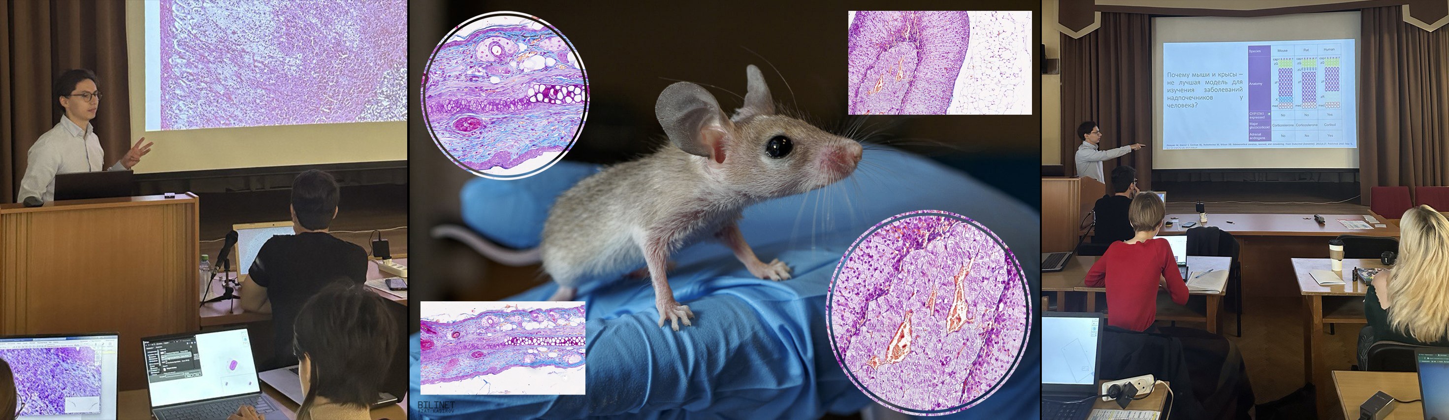 Школа-конференция 'Немодельные организмы в биомедицинских исследованиях' Школа-конференция 'Немодельные организмы в биомедицинских исследованиях'